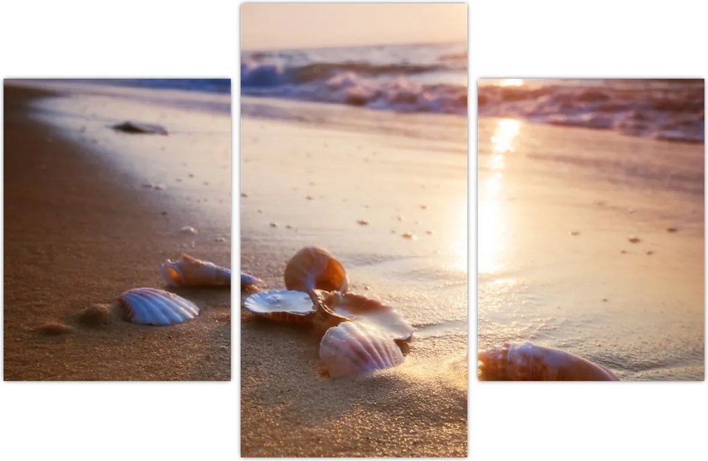 Tablou - Scoici (90x60 cm)