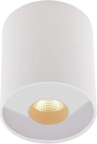 Spot LED alb din metal si sticla Plasma White Maxlight