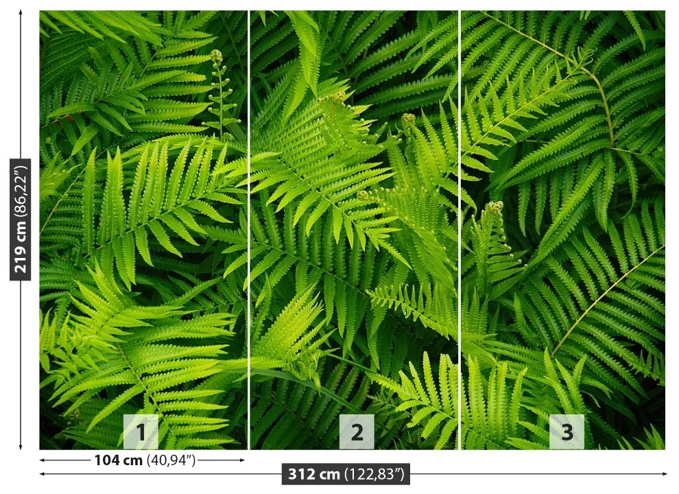 Fototapet Green Fern