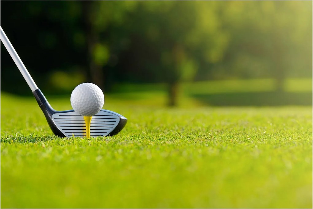 Tablou - Golf (90x60 cm)