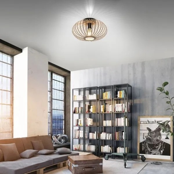 Lustră aplicată RACOON 1xE27/40W/230V d. 40 cm Leuchten Direkt 11410-79