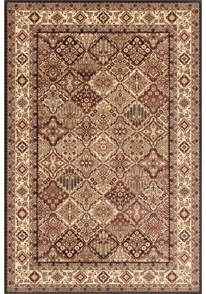 Covor teracotă 170x240 cm Bergenia – FD