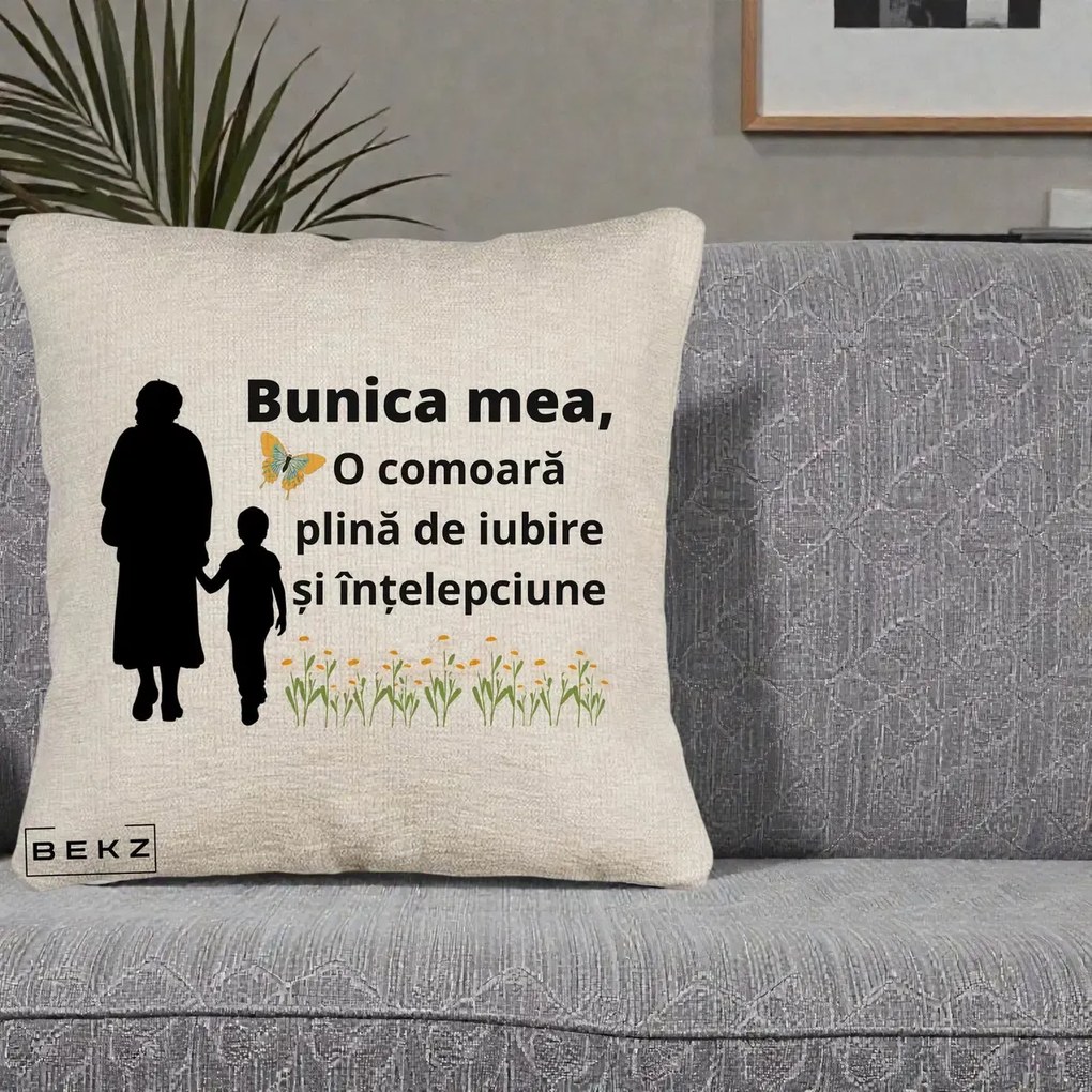 Cadou pentru Bunica - Perna Personalizata Bunica Mea Comoara cu Fluture si Baietel, 40x40 cm, Bej Canapea, Husa Detasabila, Perna Inclusa, BEKZ®