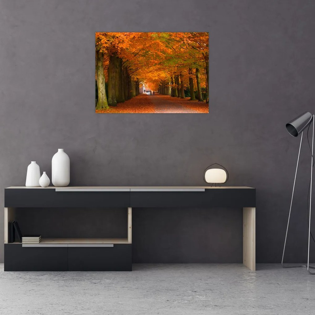 Tablou pe sticlă - Bulevardul de copaci în toamnă (70x50 cm)