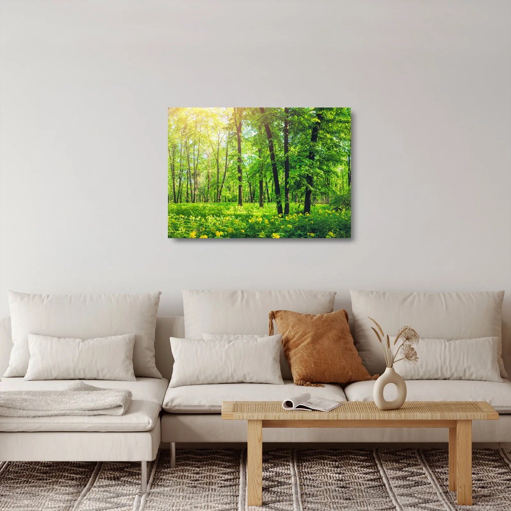 Tablou pe sticlă - Pădurea cu frunze de primăvară (70x50 cm)