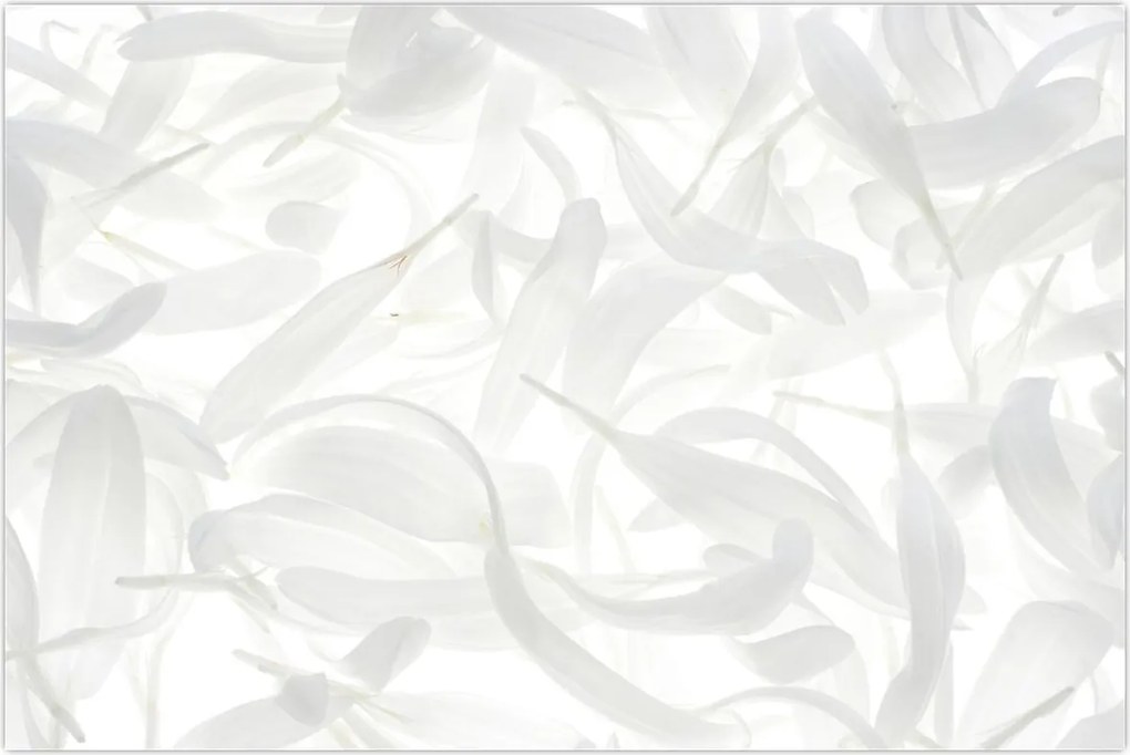 Tablou - Petale de frunze (90x60 cm)