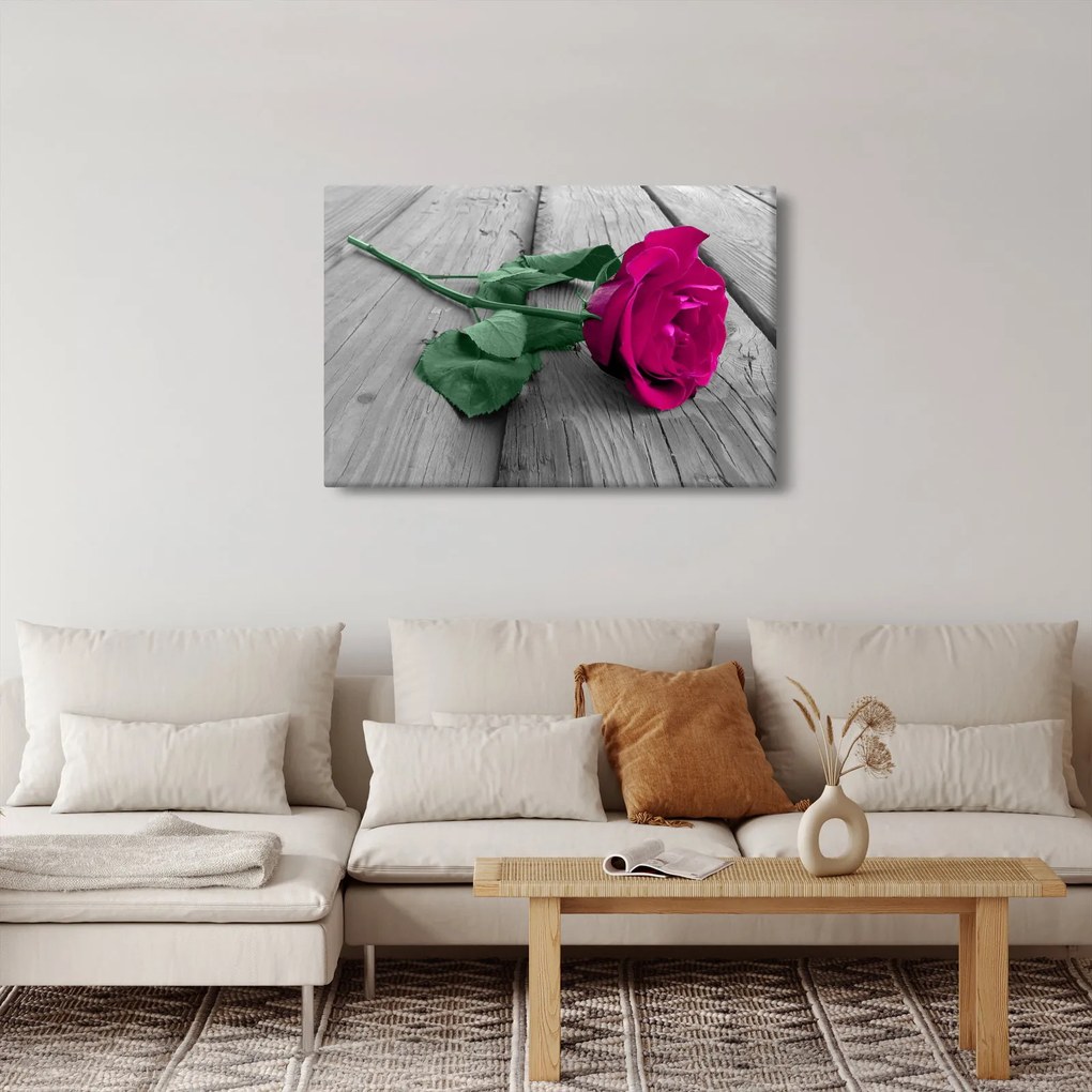 Tablou - Trandafir roz cu tulpina verde (90x60 cm)