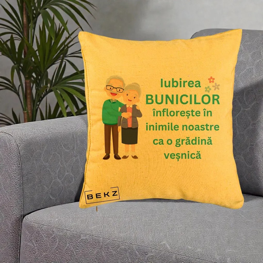 Cadou pentru Bunici - Perna Personalizata Bunicii Iubirea Infloreste Cuplu Senior Teal, 40x40 cm, Galben, Husa Detasabila, Perna Inclusa, BEKZ®