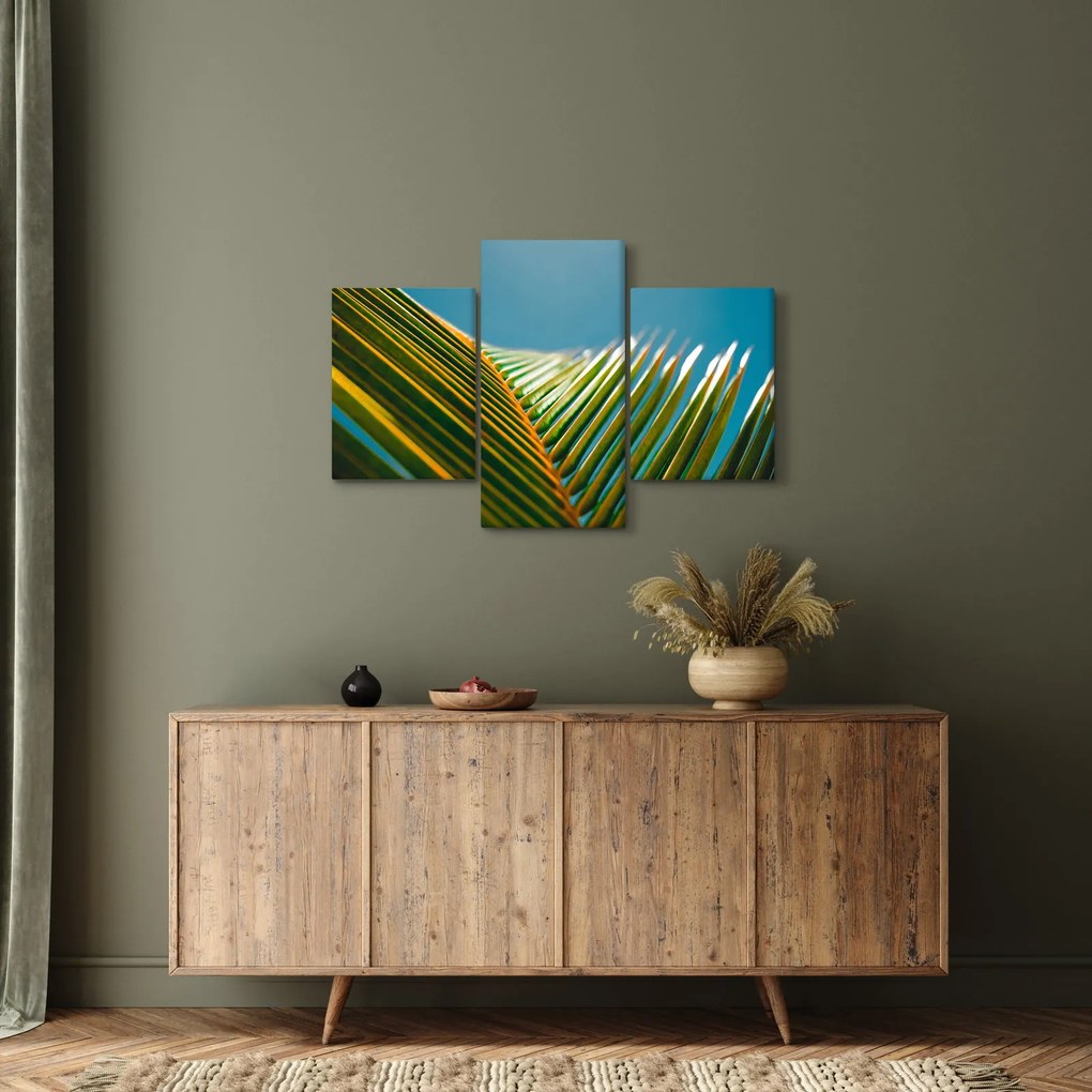Tablou - Frunze de palmier (90x60 cm)
