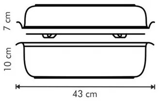 Tavă cu capac Tescoma 36 x 24 cm