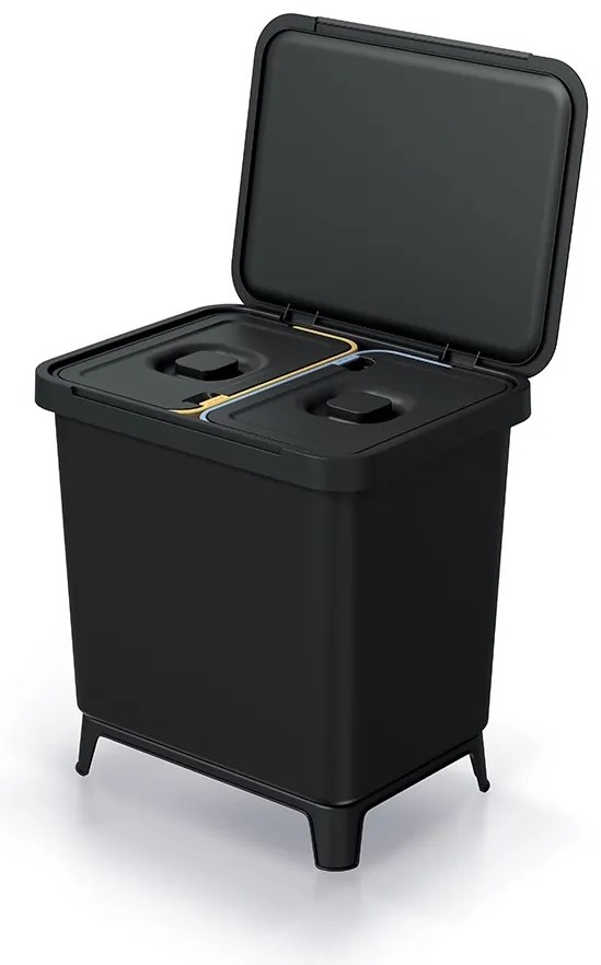 Coș de gunoi, 2 x 10 l, negru