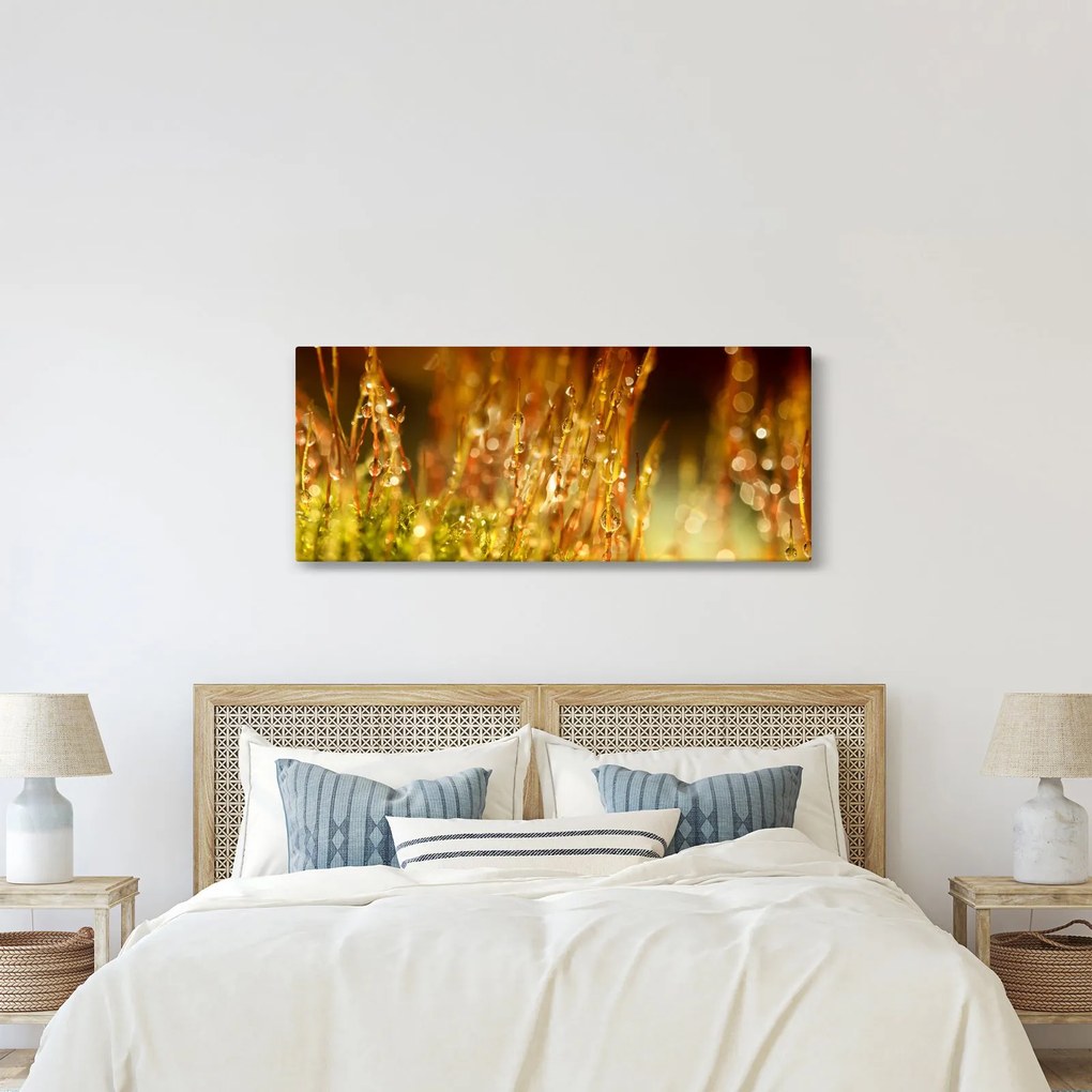 Tablou - Detaliu rouă (120x50 cm)