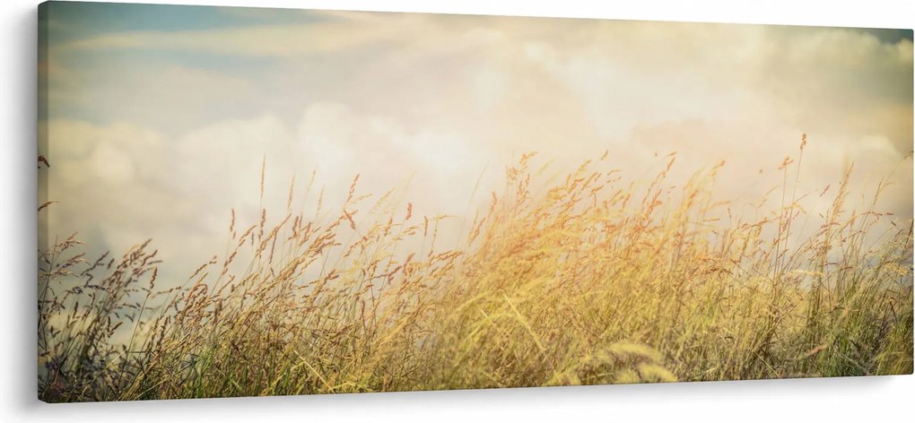 Tablou - Câmp toamna (120x50 cm)