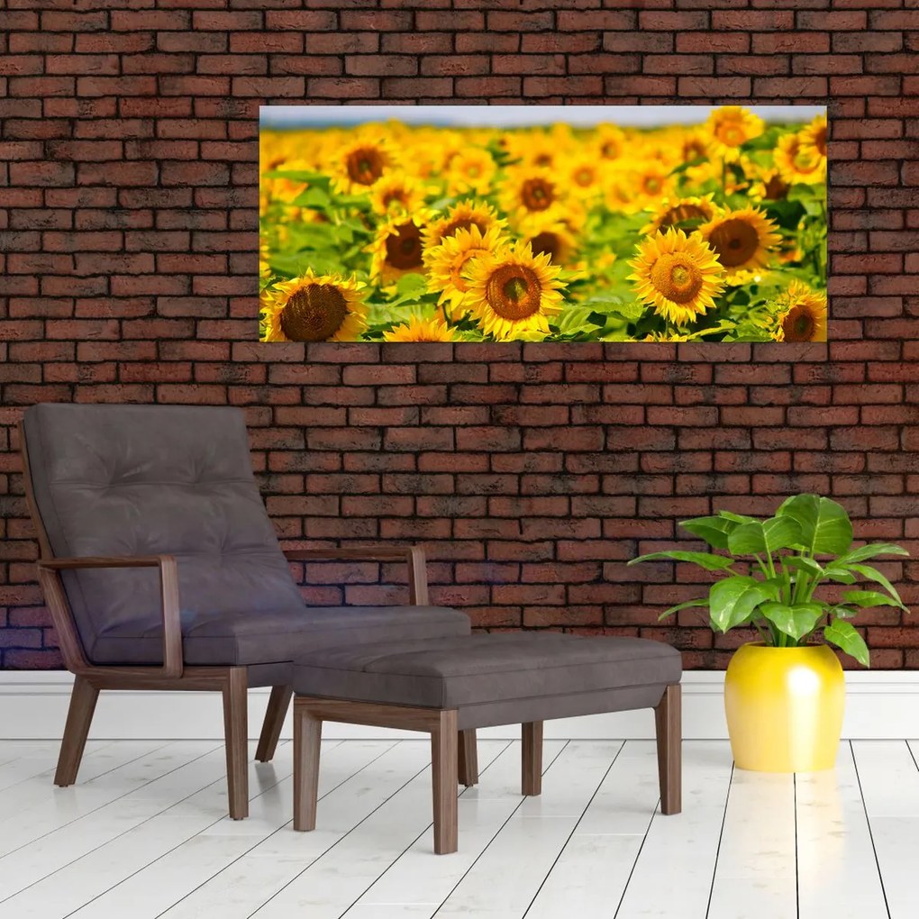 Tablou - Floarea-soarelui (120x50 cm)
