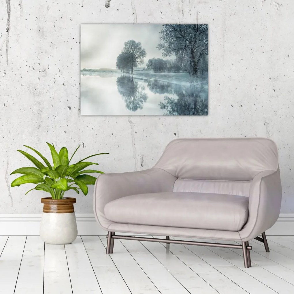 Tablou cu natura iarna (70x50 cm)
