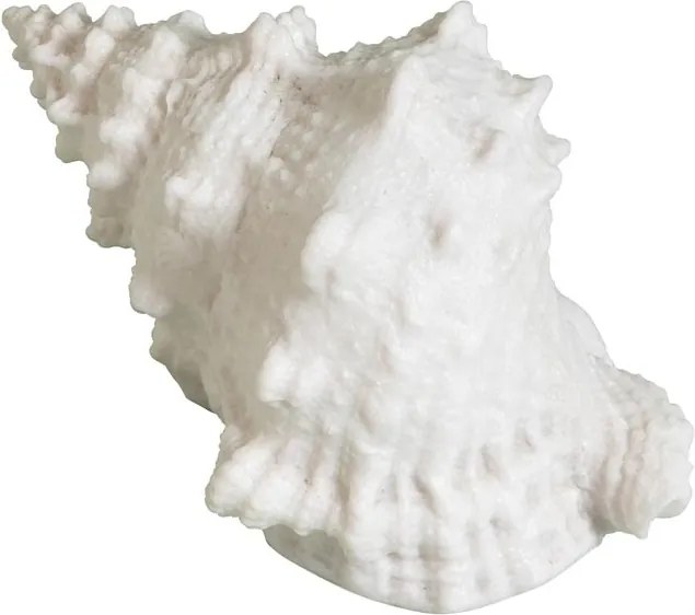 Lampa de masa in forma de melc , din rășină si pulbere de piatra, "Shell"