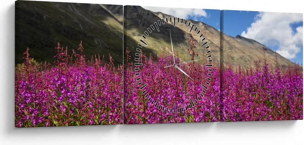Tablou sceneriei cu lunca montană (cu ceas) (90x30 cm)