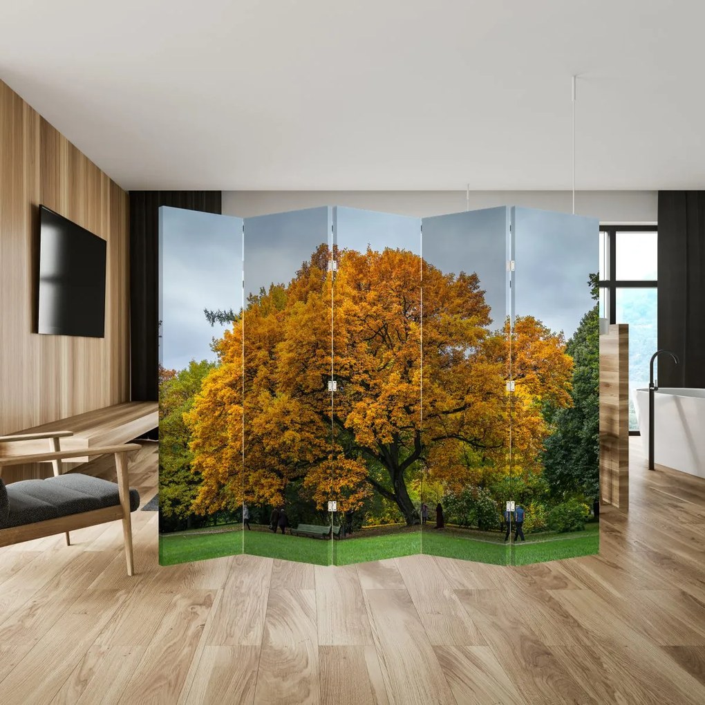 Paravan - Copac (210x170 cm)