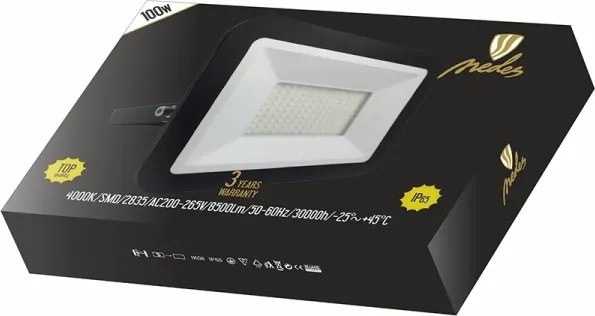 LED Proiector LED/100W/230V IP65