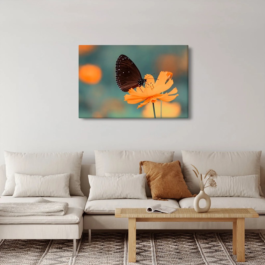 Tablou - fluture pe o floare portocalie (90x60 cm)