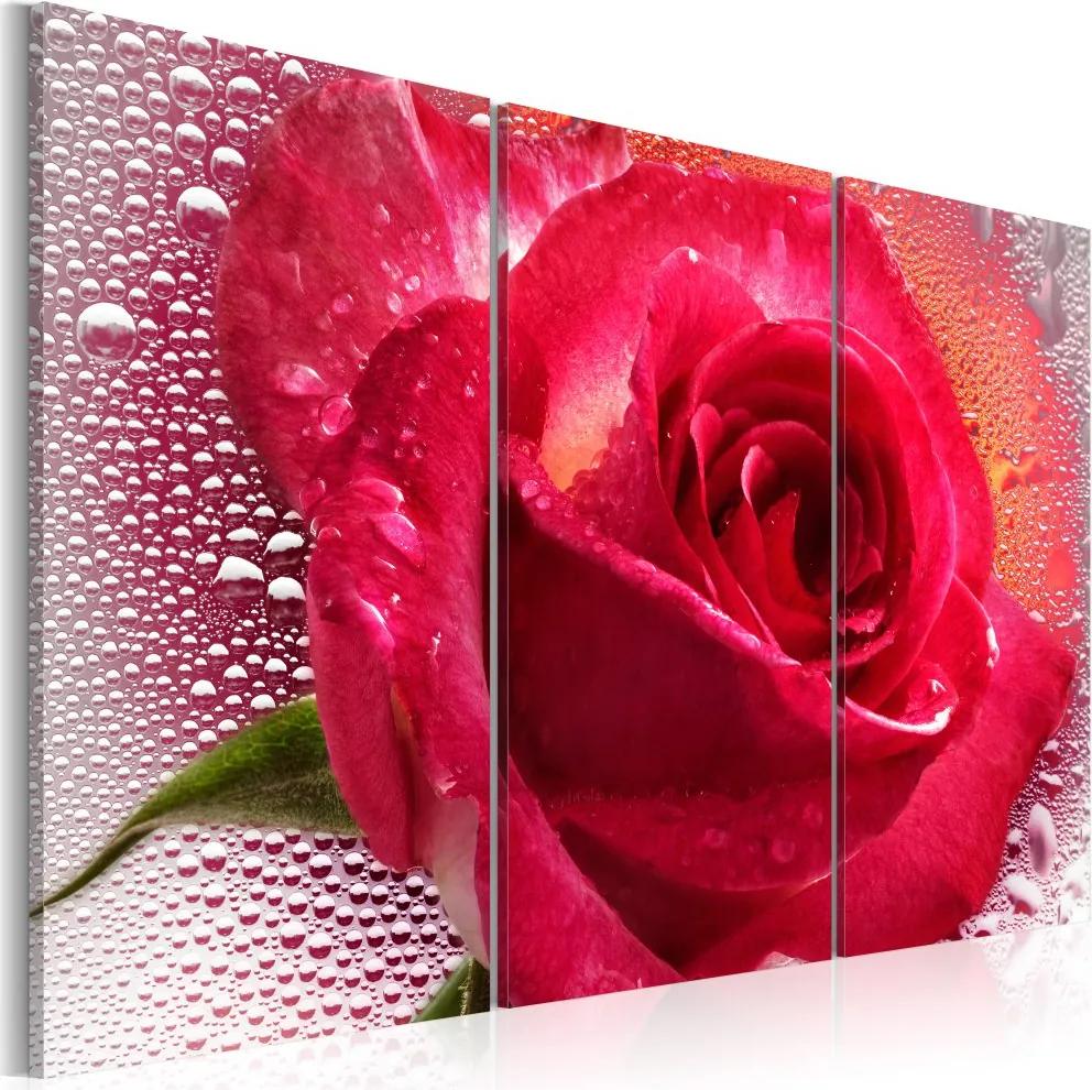 Tablou Bimago - Lady Rose - triptych 60x40 cm
