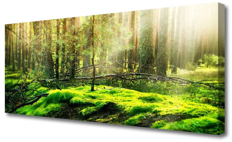 Tablou pe panza canvas Moss Natural Pădurea Verde