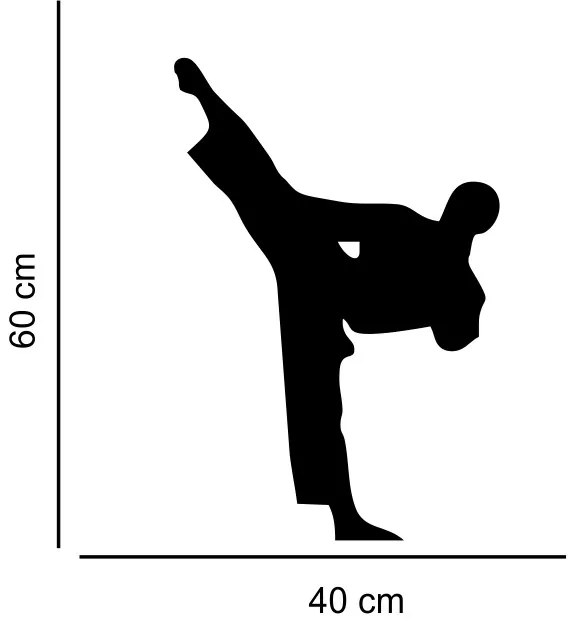 Sticker perete Silueta Karate 4