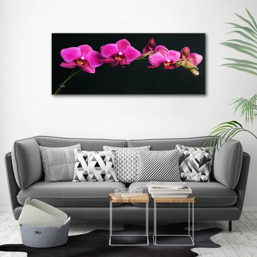 Tablou canvas Orhidee