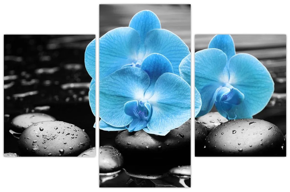Tablou - Orhidee albastră (90x60 cm)