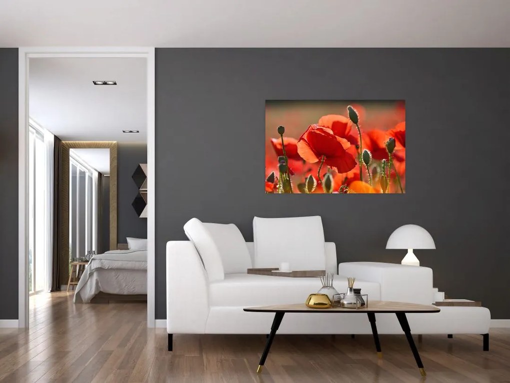 Tablou cu flori de maci (90x60 cm)