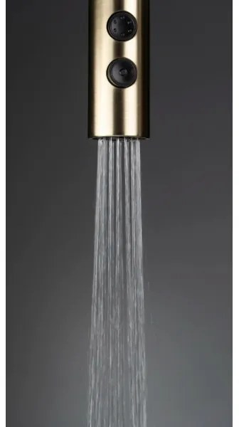 Baterie de chiuvetă cu cap de duș detașabil Deante BQO_R72M OLFATO auriu periat