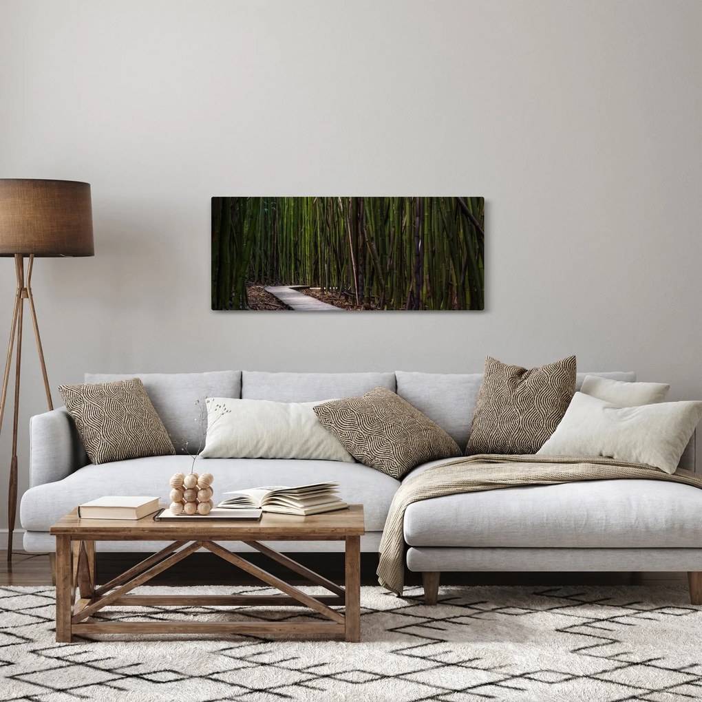 Tablou - Între bambus (120x50 cm)