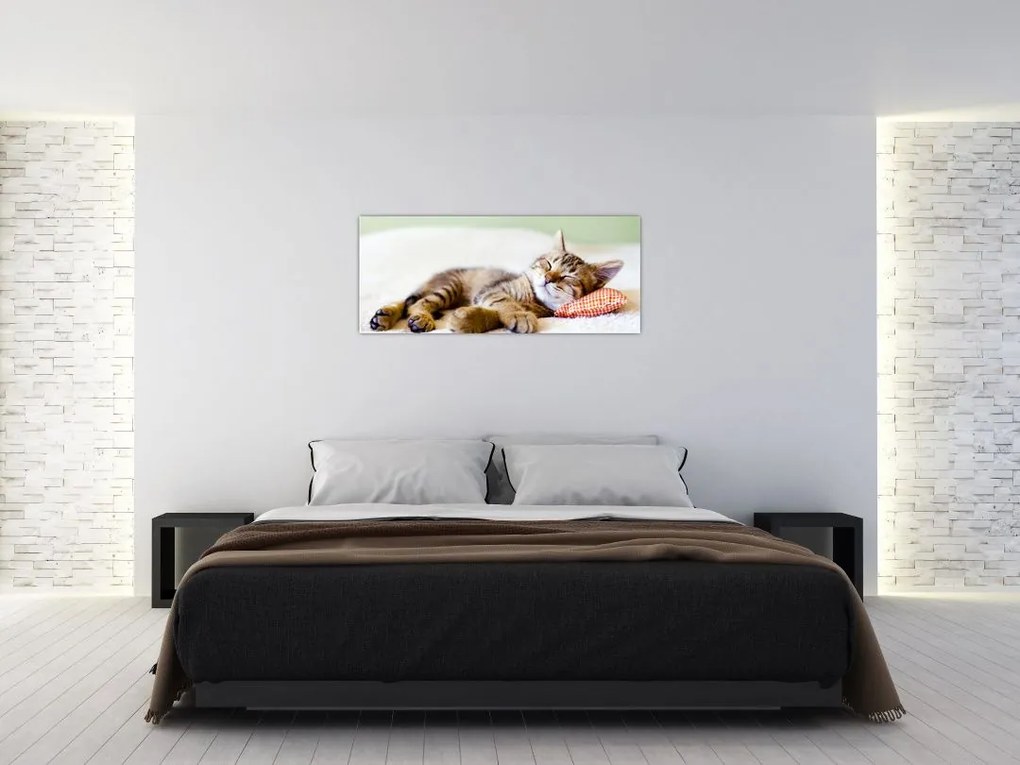 Tablou - Pisicuța adormită (120x50 cm)