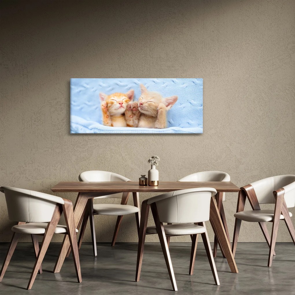 Tablou - Pisicuțe adormite (120x50 cm)