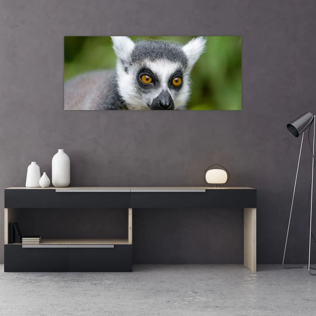 Tablou cu lemur (120x50 cm)