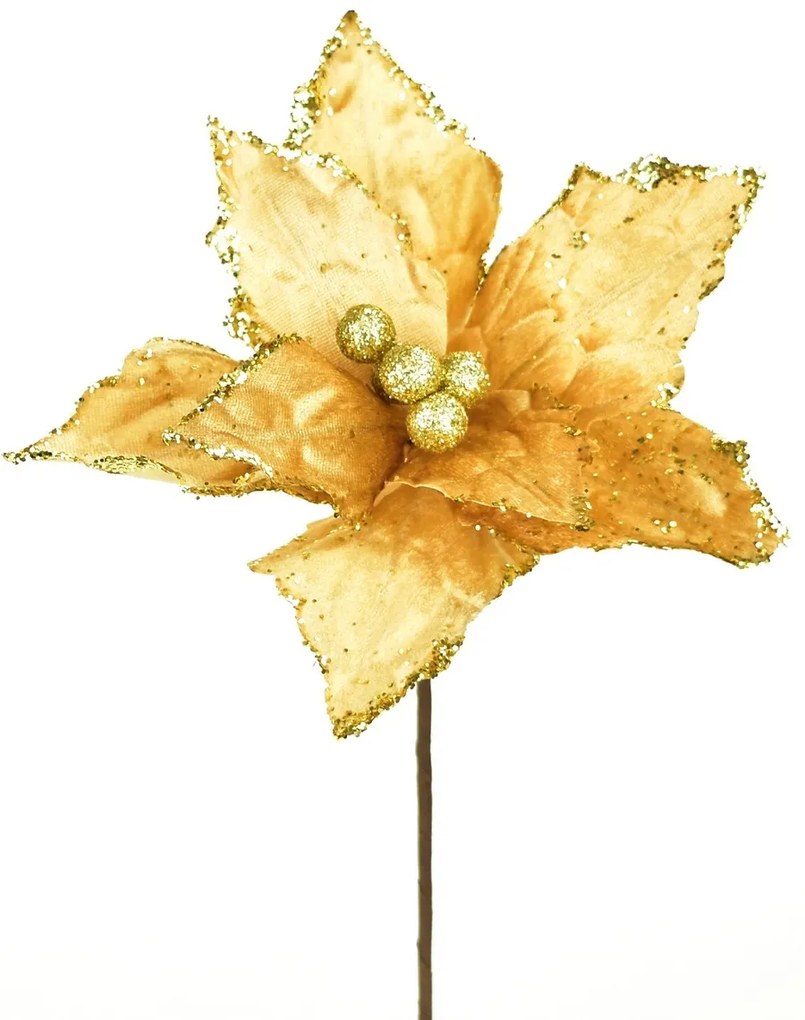 Floare de Crăciun Ponsettia, 25 x 30 cm, șampanie