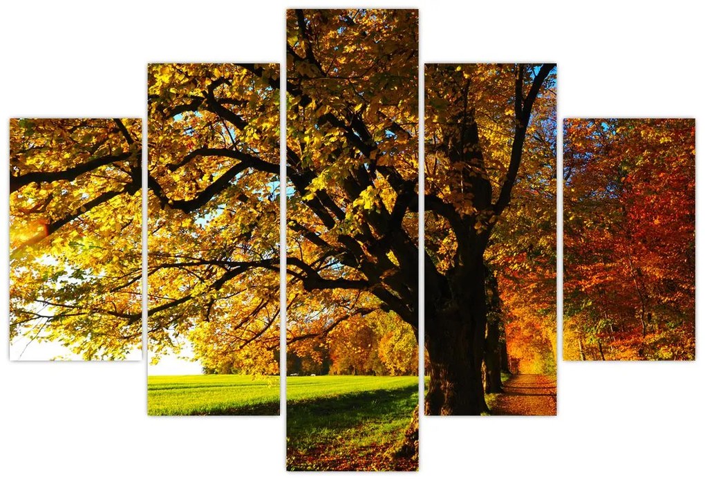 Tablou cu copac toamna (150x105 cm)