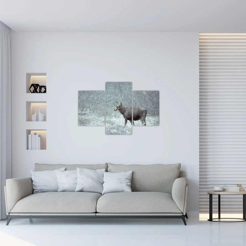 Tablou - Elan într-o pădure înzăpezită (90x60 cm)