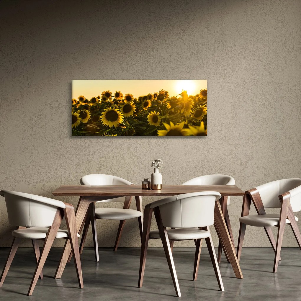 Tablou cu lan de floarea soarelui (120x50 cm)
