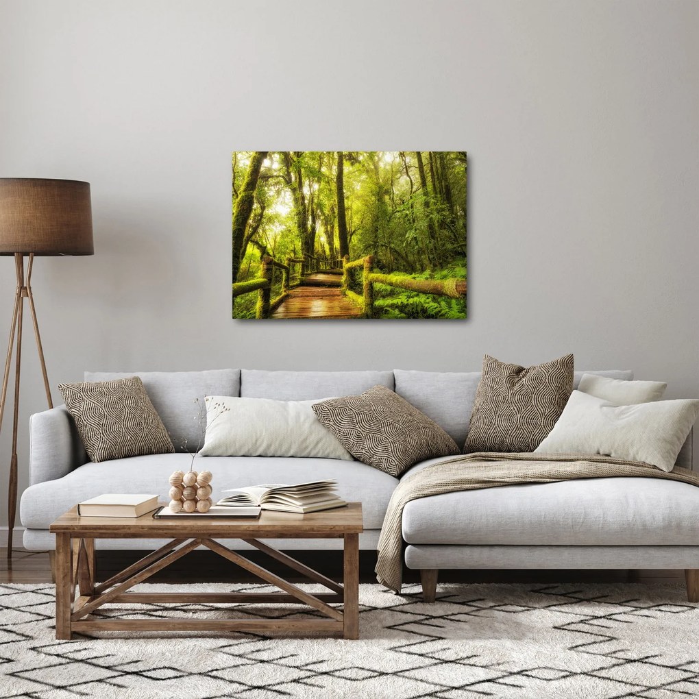 Tablou junglei cu mușchi (70x50 cm)