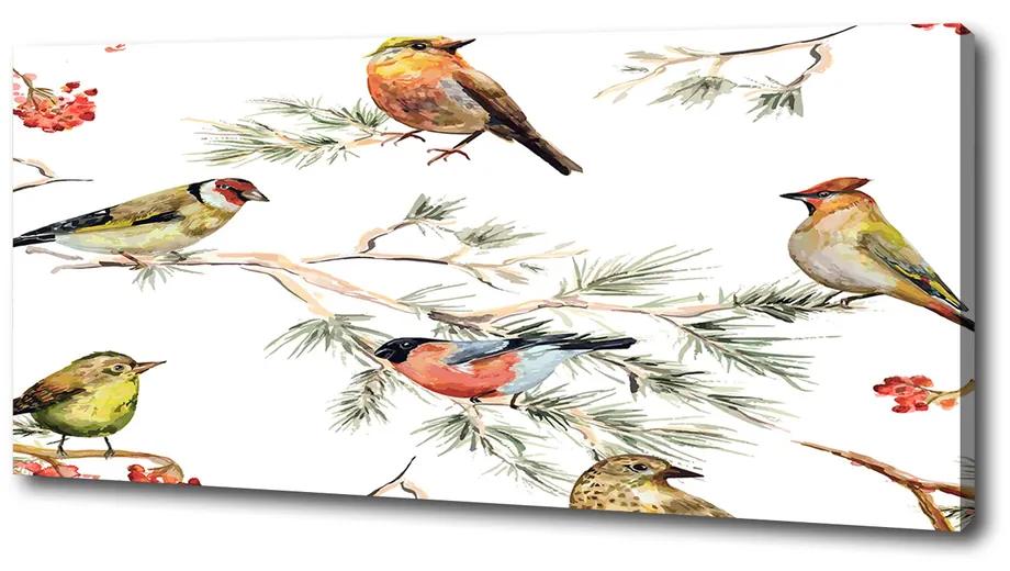 Tablou pe pânză canvas Plante forest păsări