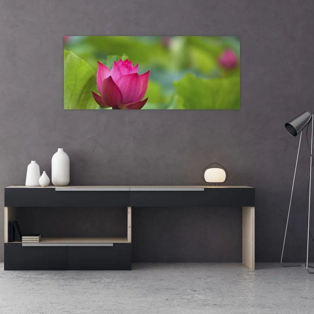 Tablou - floare de apă (120x50 cm)