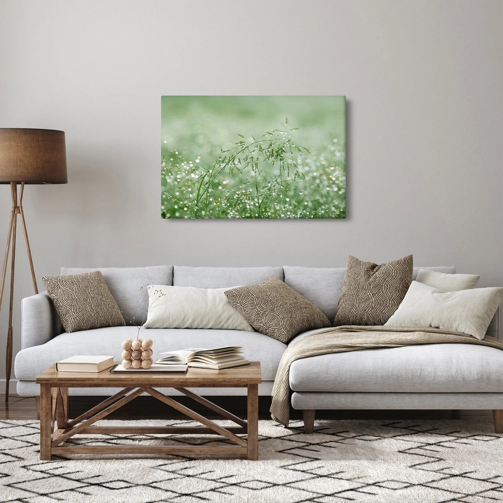 Tablou - Trandafir în iarbâ (90x60 cm)