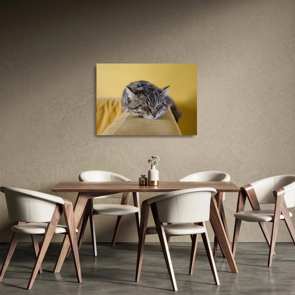 Tablou pe sticlă cu pisica pe fotoliu (70x50 cm)