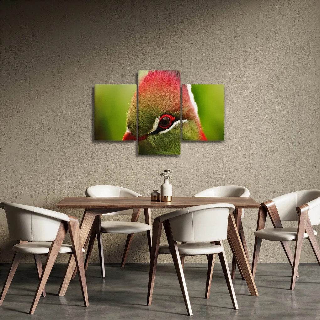 Tablou cu pasărea colorată (90x60 cm)