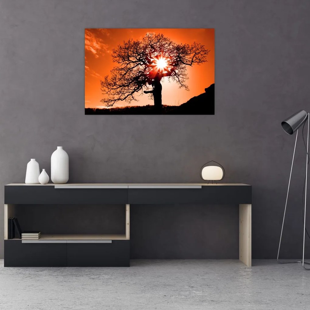 Tablou - Fag la apus de soare (90x60 cm)