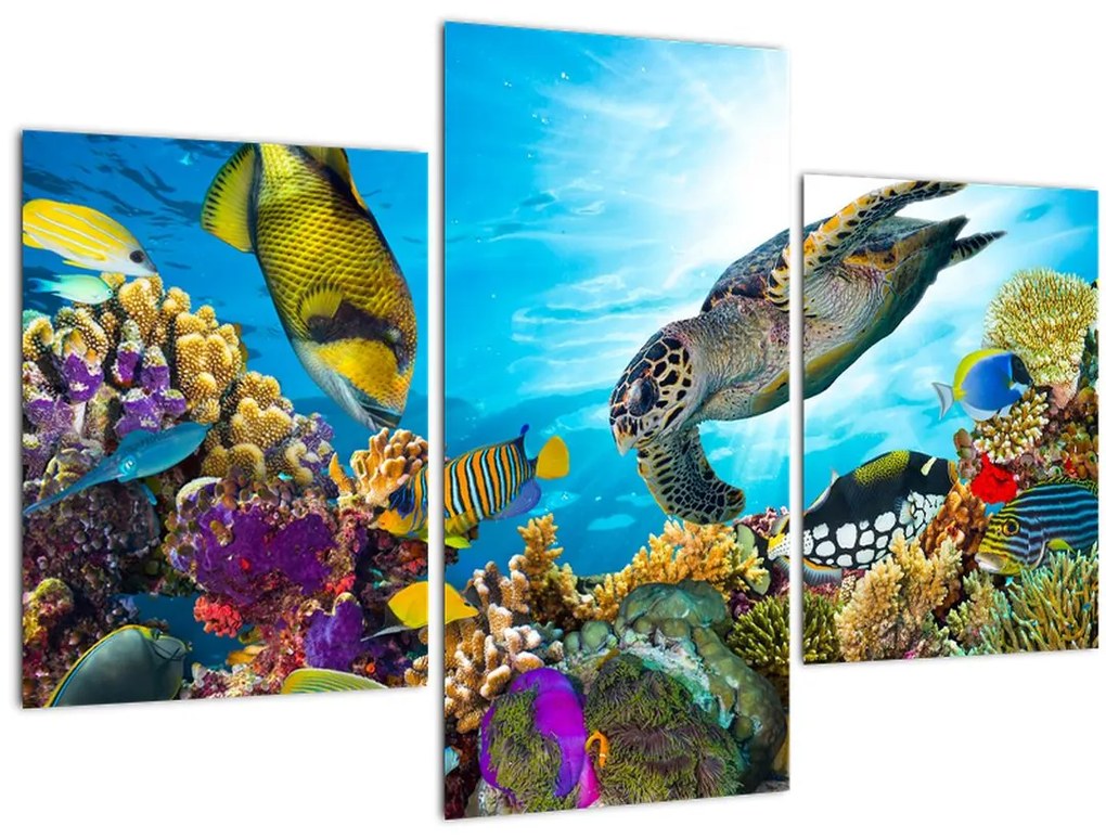 Tablou - Recif de corali (90x60 cm)