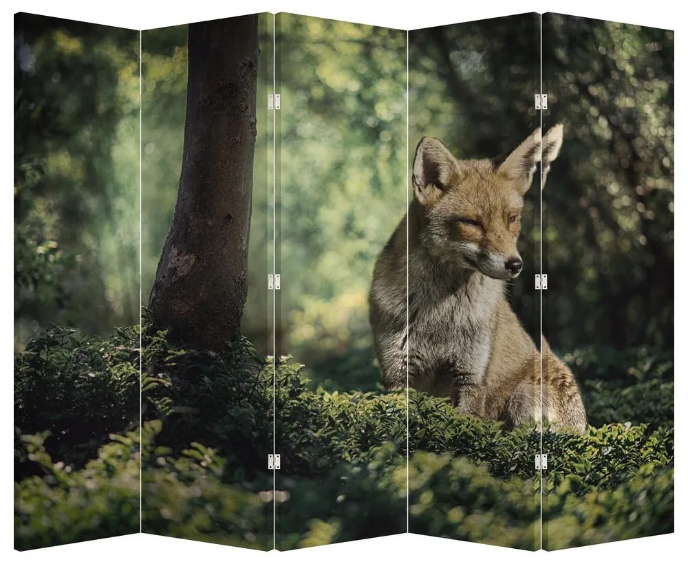 Paravan - Vulpe (210x170 cm)