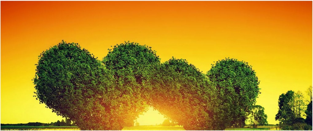 Tablou - Inima în coroanele copacilor (120x50 cm)