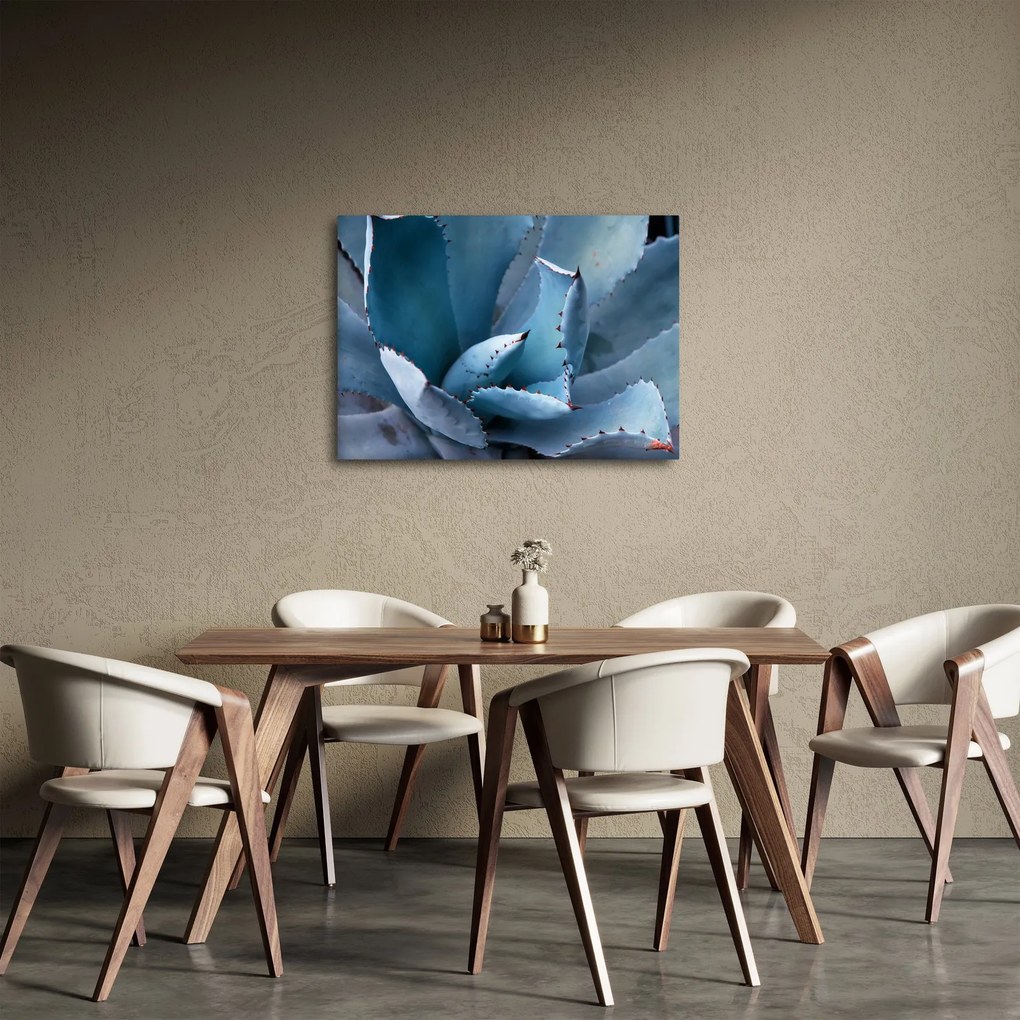 Tablou - Agave (70x50 cm)